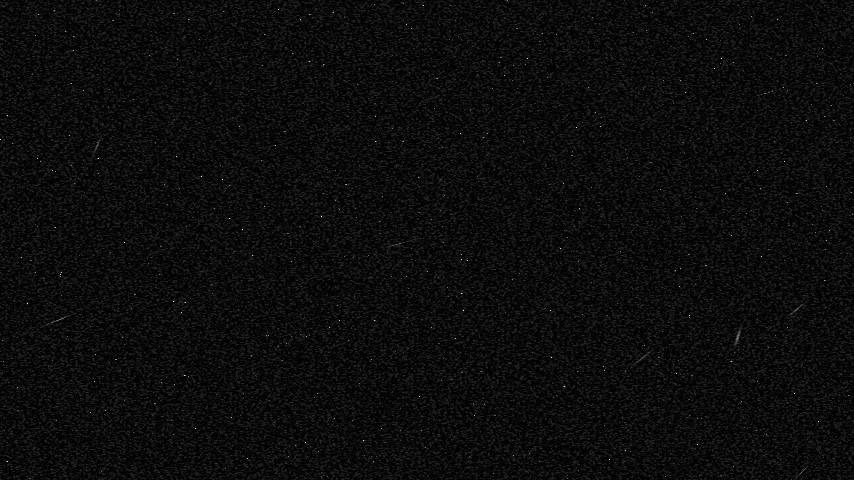 Grain effect seed 7872